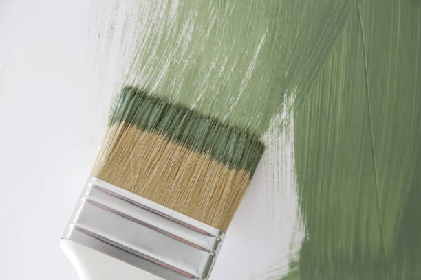  Augusta, KS Mold Removal Pros