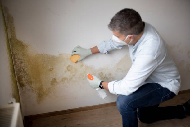 Best Indoor Air Quality Assessment  in Augusta, KS