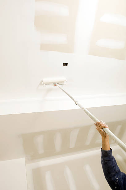Best Mold Prevention Services  in Augusta, KS