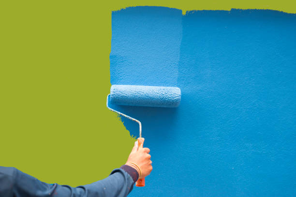 Best Basement Mold Removal  in Augusta, KS